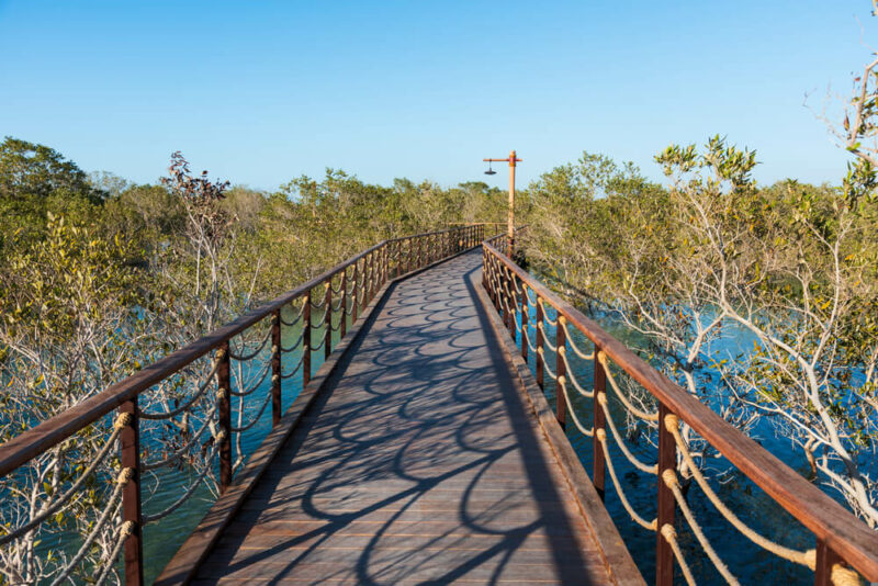 Jubail Mangrove Park location		