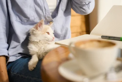 man sitting with a cat to show the best cat cafes in Dubai